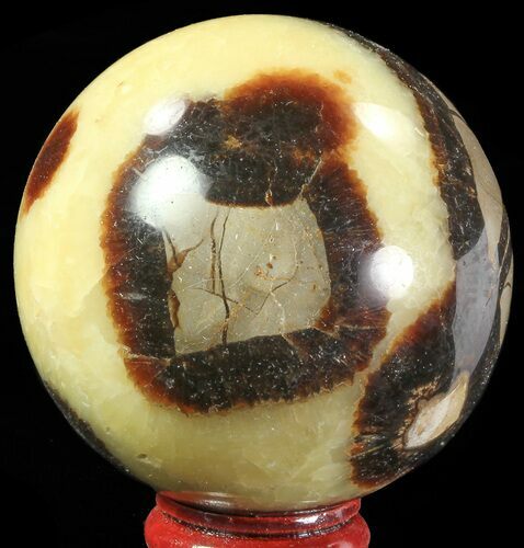 Polished Septarian Sphere - Madagascar #67864